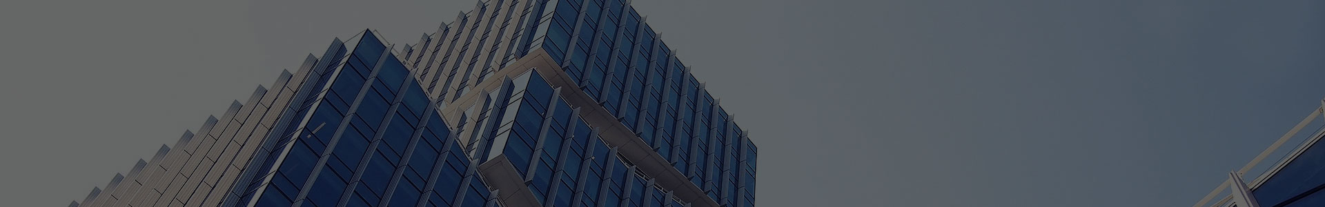 Jiaxing Xuanyi Perdagangan Internasional Co, Ltd