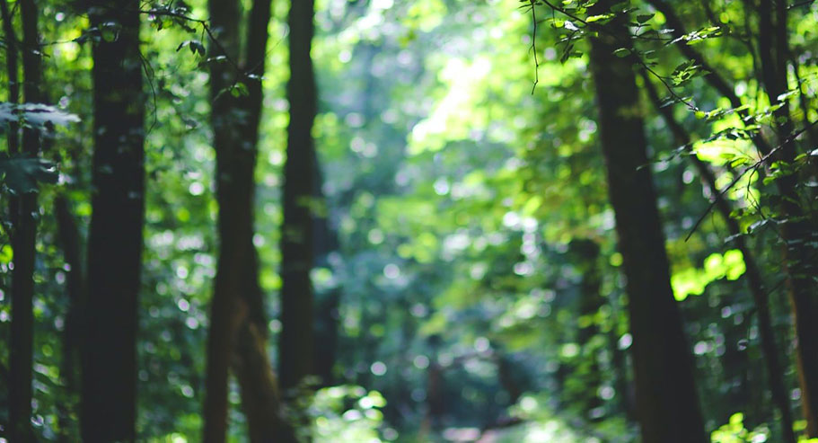 Jiaxing Xuanyi Perdagangan Internasional Co, Ltd