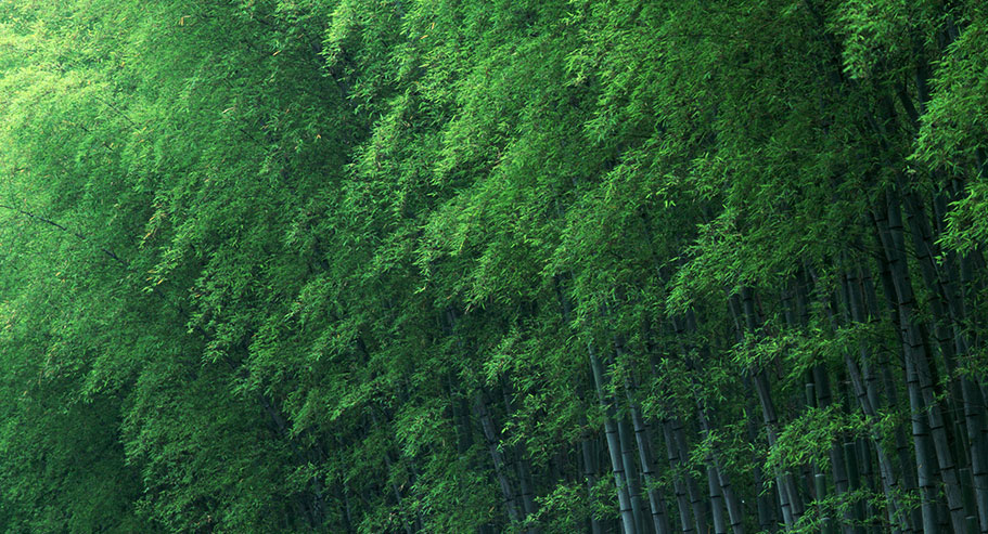 Jiaxing Xuanyi Perdagangan Internasional Co, Ltd